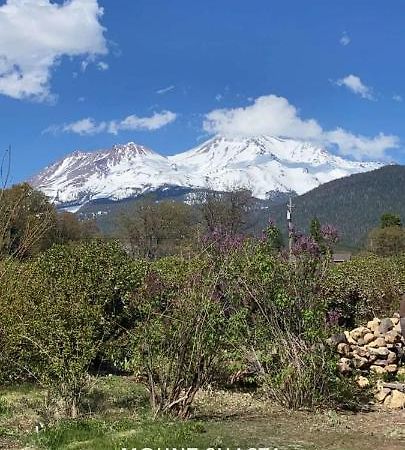 Angel Cottage With A Sauna Or The Cozy With A Jacuzzi Tub, Both Are Studios With A View Of Mount Shasta Eksteriør bilde