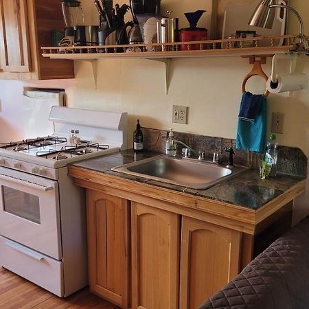 Angel Cottage With A Sauna Or The Cozy With A Jacuzzi Tub, Both Are Studios With A View Of Mount Shasta Eksteriør bilde