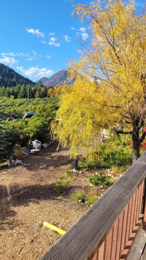 Angel Cottage With A Sauna Or The Cozy With A Jacuzzi Tub, Both Are Studios With A View Of Mount Shasta Eksteriør bilde