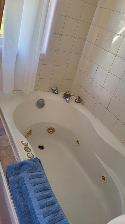 Angel Cottage With A Sauna Or The Cozy With A Jacuzzi Tub, Both Are Studios With A View Of Mount Shasta Eksteriør bilde
