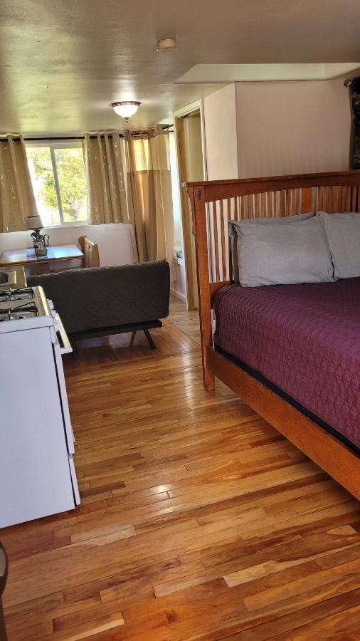 Angel Cottage With A Sauna Or The Cozy With A Jacuzzi Tub, Both Are Studios With A View Of Mount Shasta Eksteriør bilde