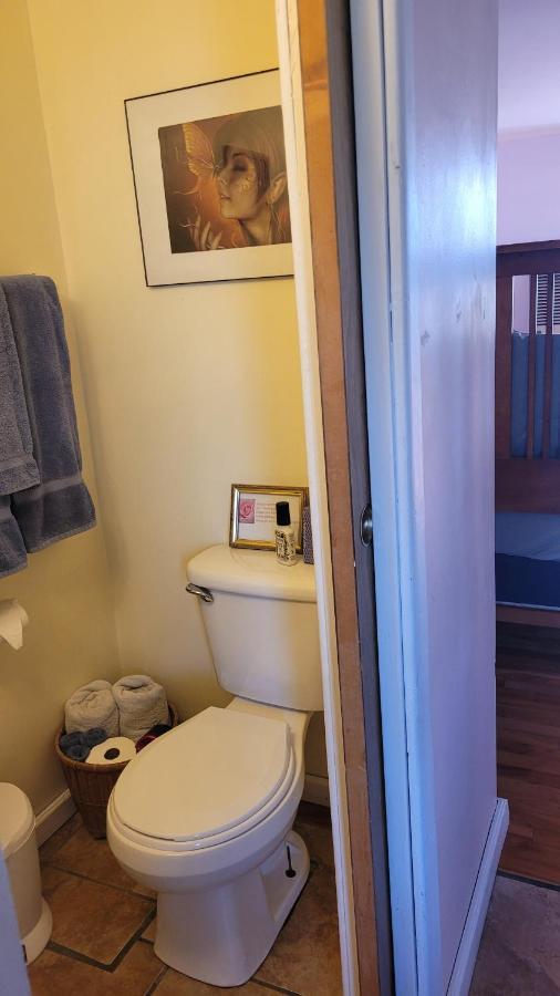 Angel Cottage With A Sauna Or The Cozy With A Jacuzzi Tub, Both Are Studios With A View Of Mount Shasta Eksteriør bilde