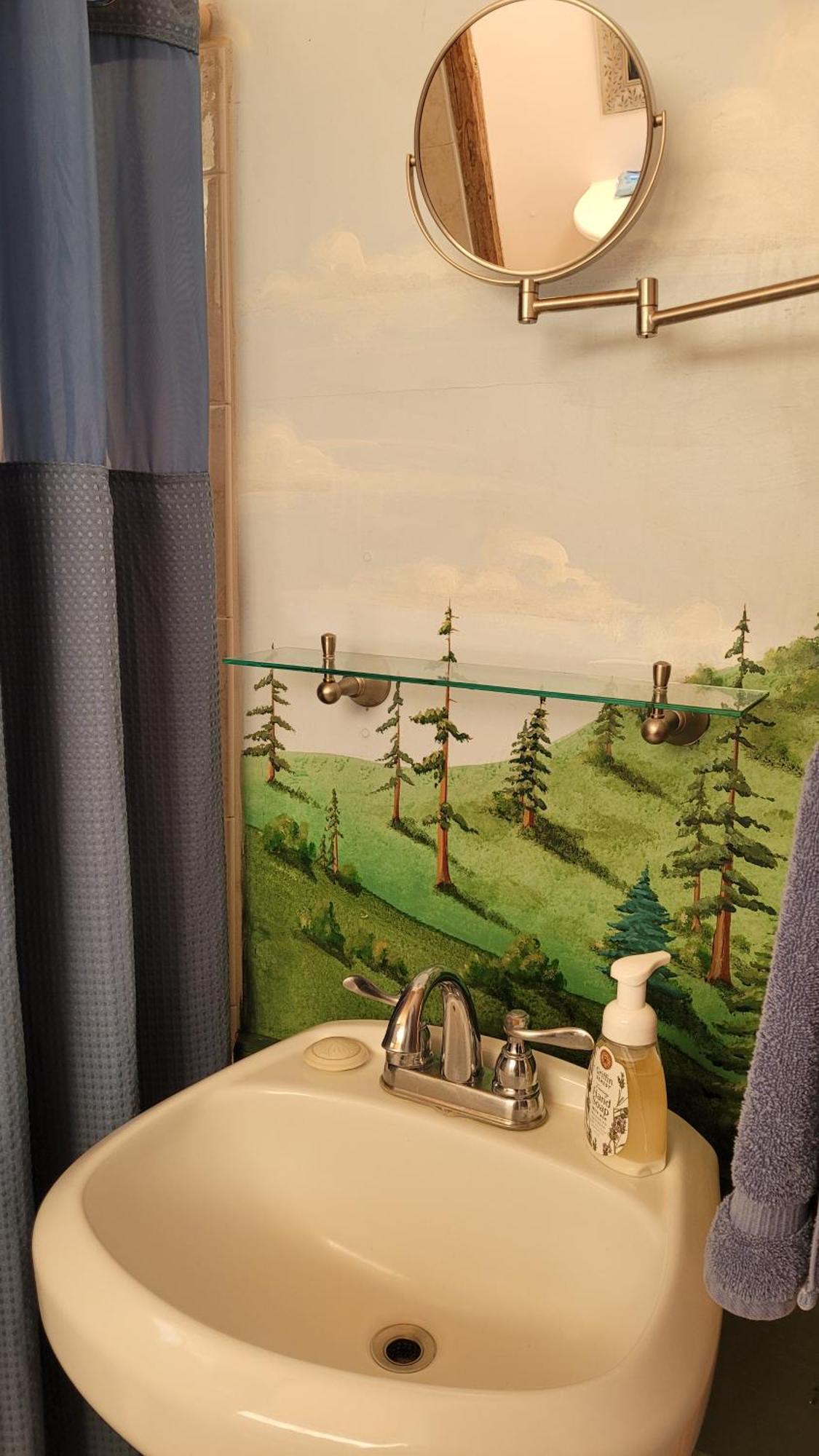 Angel Cottage With A Sauna Or The Cozy With A Jacuzzi Tub, Both Are Studios With A View Of Mount Shasta Rom bilde